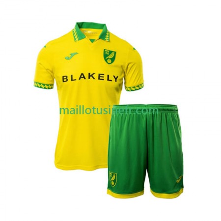 Maillot de Foot Norwich City Domicile 2025-26 - Enfant Maillot de Foot Norwich City Domicile 2025-26 - Enfant